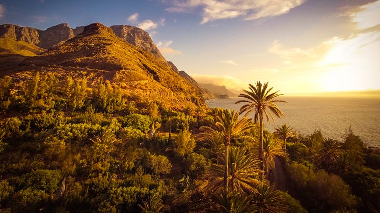 Guayedra på Gran Canaria