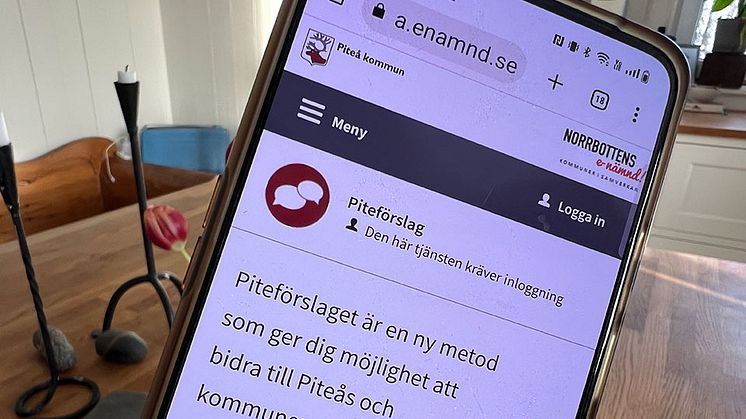 Piteförslag är en e-tjänst för förslag till förbättring och utveckling.       Foto: Piteå kommun