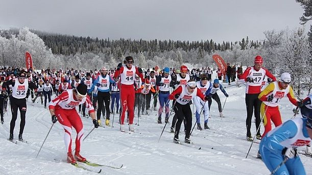 OS-medaljörer deltar i Pilgrimsloppet 2014, Lofsdalen