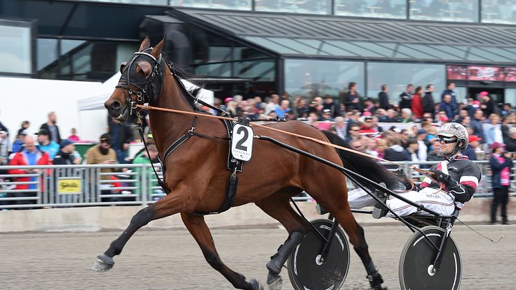 Sweden Cup-vinnaren till Elitloppet Benders