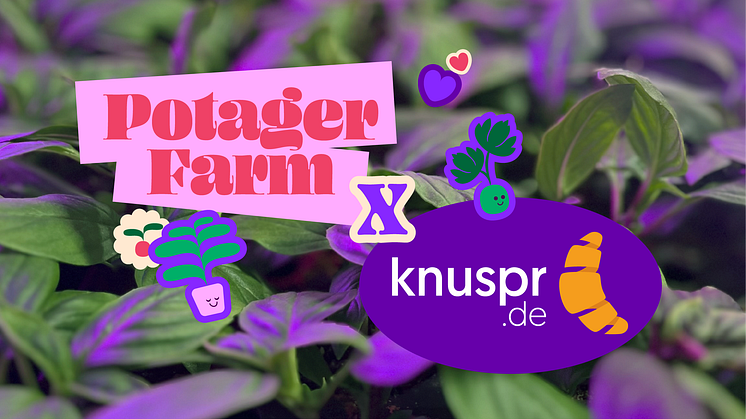 Potager Farm kooperiert mit Knuspr, um Berliner:innen frische, lokal produzierte Kräuter zu liefern