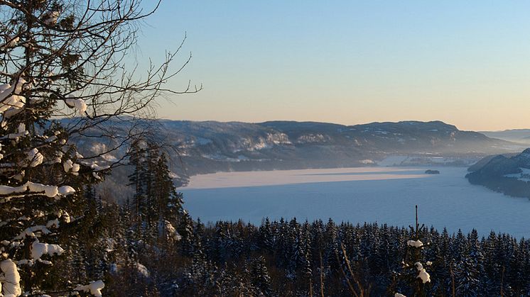 Holsfjorden | Foto: Randi Hausken