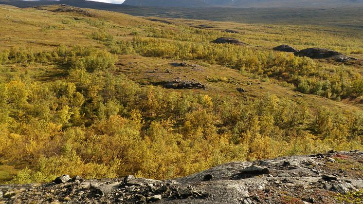 Flygburen laserskanning i naturvårdens tjänst