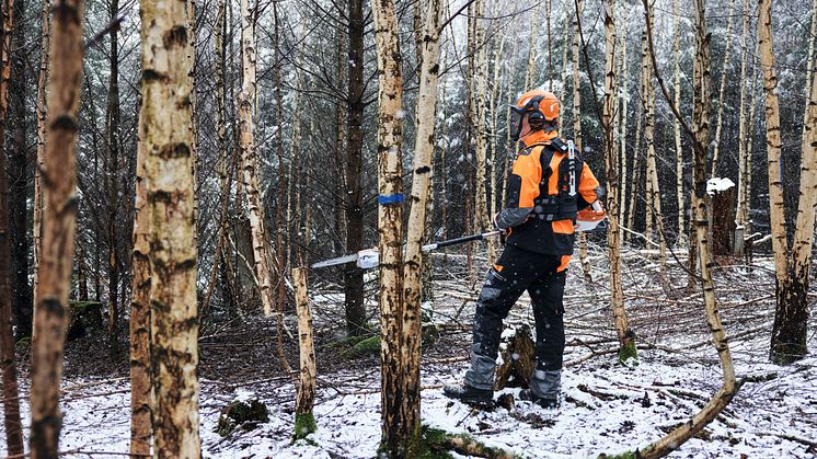 Batteristangsaven HTA 150 til skovejere og skovbrug er det første batteriværktøj fra STIHL, som er udviklet specielt til arbejde med skovpleje.