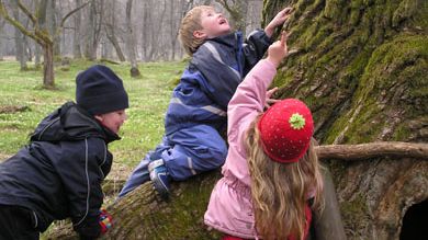 Örebro årets friluftskommun!