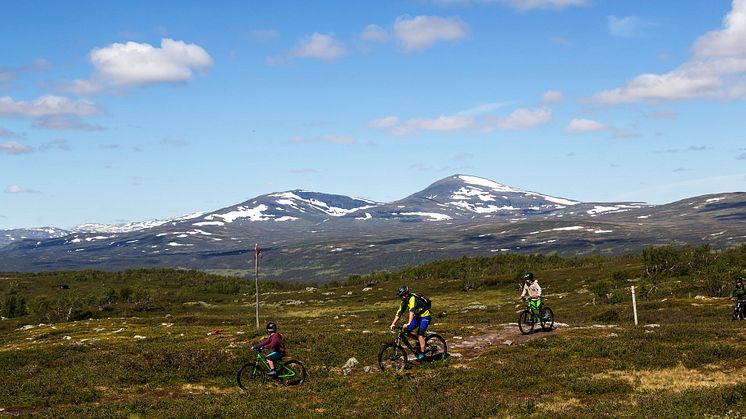 Flow i fokus för cykelsatsning 