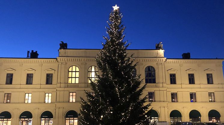 Karlstads kommun söker gran till Stora torget