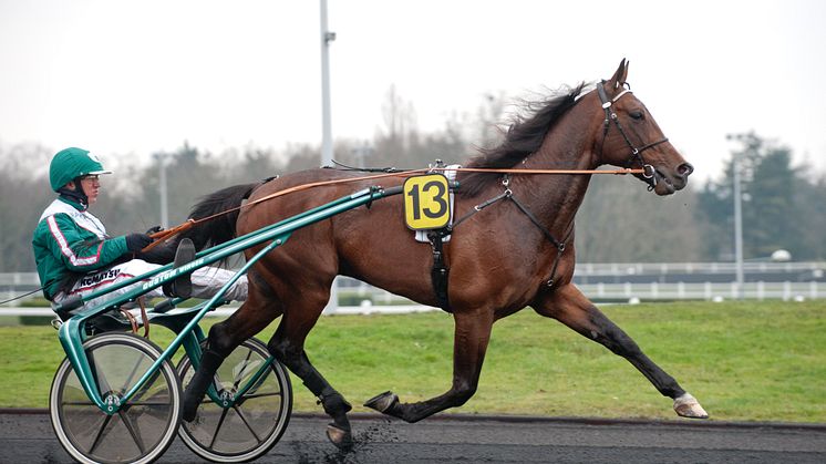 Stefan Hultman: Maharajah startar i Prix d’Amerique