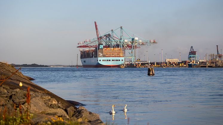 Antonia_Maersk_in_PortGot1.jpg