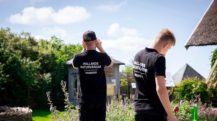 För tredje året i rad drar nu Visit Hallands succéprojekt med unga naturvärdar igång.