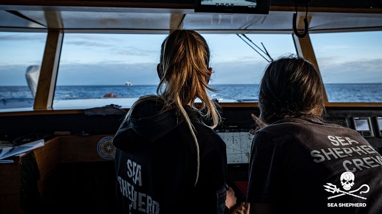 Les systèmes Raymarine sont un élément clé de la lutte continue des bénévoles pour protéger les écosystèmes marins des conséquences littéralement dévastatrices de la pêche illégale