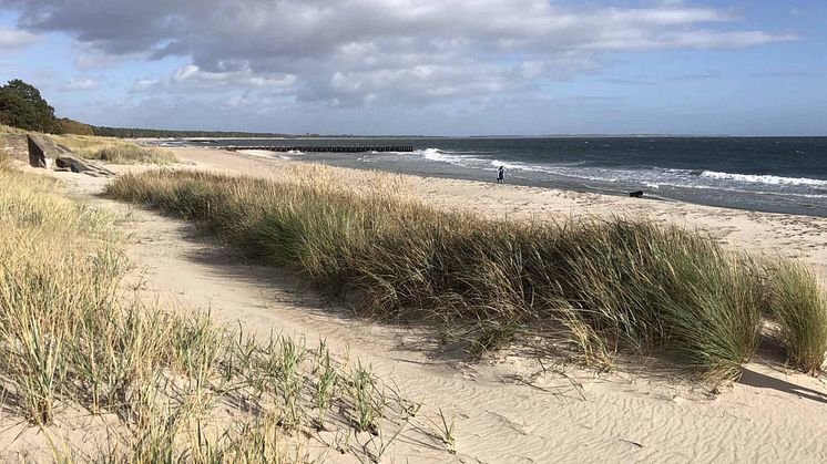 Åtgärder mot kusterosion i Skåne har gett resultat  