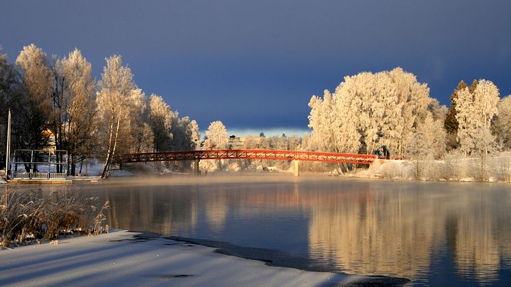 Sunnes nya kommunstrategi till alla hushåll