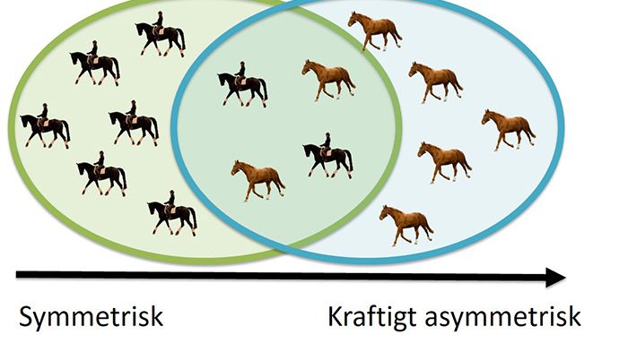 Många gånger är det lätt att se om en häst är halt eller frisk, men det finns en gråzon med hästar som upplevs vara friska men som ändå uppvisar ett asymmetriskt rörelsemönster. Illustration: SLU 