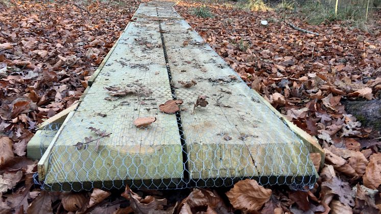 Restaureringsarbetet av Blekingeleden i Ronneby kommun innefattar även  broar, spänger och staketgenomgångar.  Foto: Per Engkvist