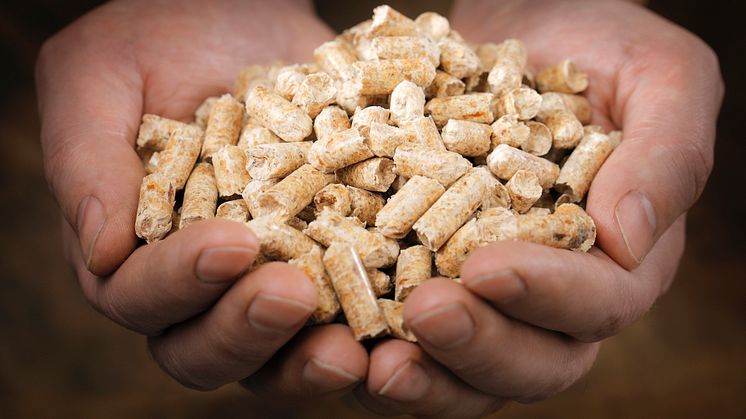 För första gången på över tio år var Sverige nettoexportör av pellets 2020.