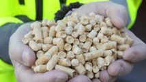 Ökad pelletsproduktion i Sverige trots en krympande marknad