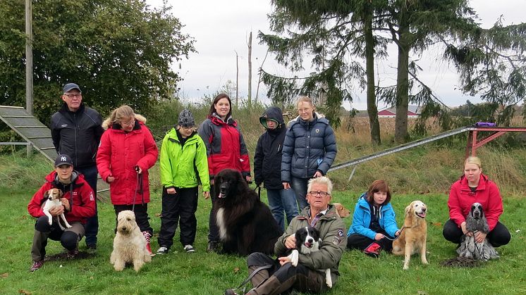 Hund för alla – studiecirklar för funktionsnedsatta