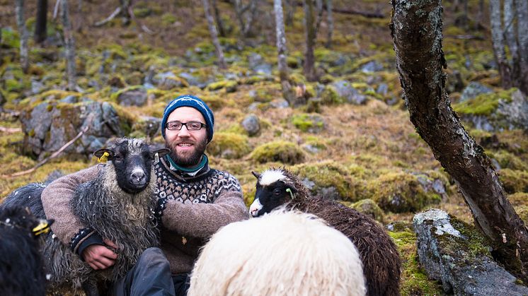 René Cortis fra Nøisomhed gård i Vesterålen er en av de seks nye inspirasjonsbøndene i Landbrukets Økoløft. Foto: Nøisomhed gård
