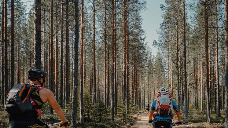 Cykling Umeåregionen