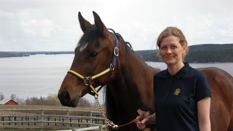 Malin Connysson med travare vid travsportens riksanläggning Wången i Jämtland. Foto: Lena Mattsson