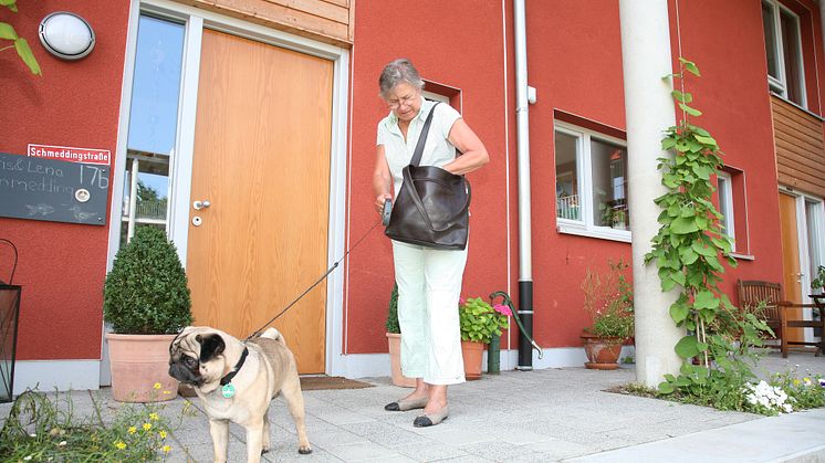 Tierhaltung in Mietwohnungen: Besser vorher das Gespräch suchen