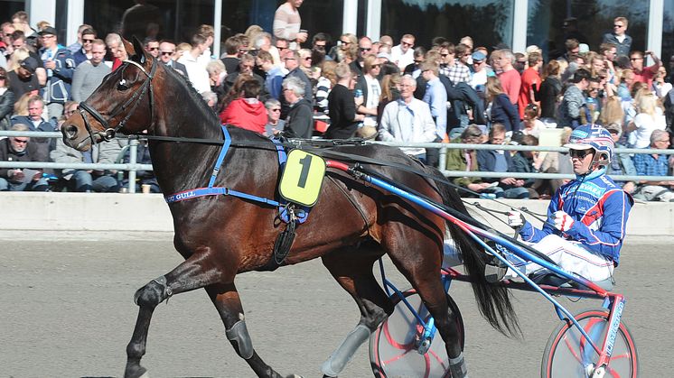 34 miljoner i V75-Jackpot på lördag i Sundsvall