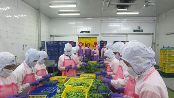 Nordiskt initiativ för bättre arbetsvillkor inom livsmedelsindustrin i Thailand – Andy Hall gästar