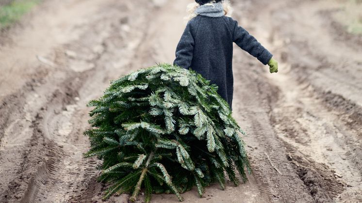 Delta i kampanjen "Ensam julgran söker klappar" och bidra till barn och unga i Stockholmsområdet i jul.