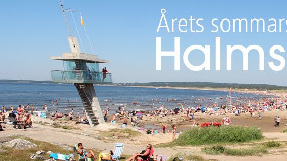 Halmstad Turistservice startar chatt funktion