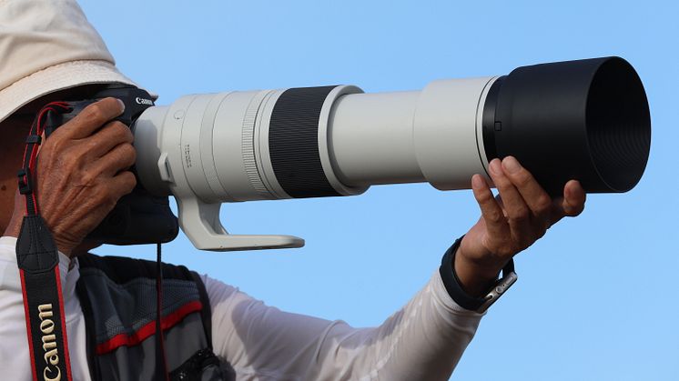 Canon RF 200-800mm F6.3-9 IS USM-Lifestyle-1A6A1751