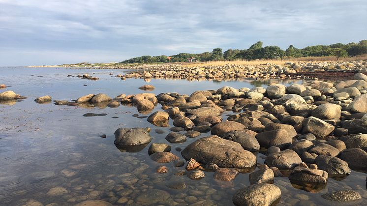 Pressinbjudan: Välkommen till invigning av Magnarps strandmarker