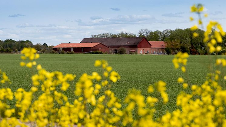 Hushållningssällskapet Halland startar projekt om livsmedelsproduktion och biologisk mångfald