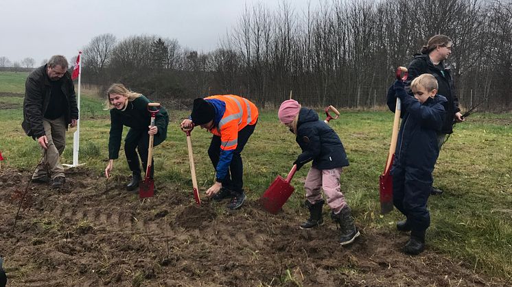 Borgmester i Holbæk Christina Krzyrosiak Hansen planter sammen med bl.a. børn og formanden for Plant et Træ, Jens Døssing, de sidste træer i den nye undervisningsskov i Vipperød