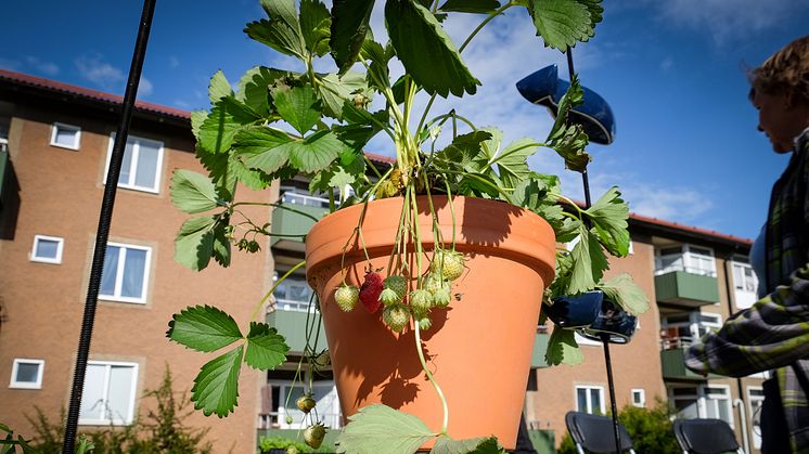 Sju steg för ökad delning i bostadsområden