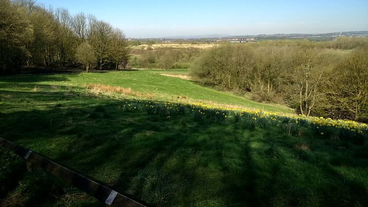 Springwater Park becomes the borough’s latest Local Nature Reserve