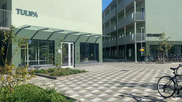 ByggVesta inviger Colonia II i Linköping – ett studentbostadsområde som skapar campuskänsla på riktigt