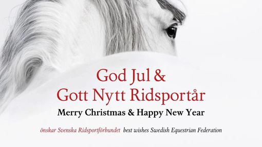 God Jul och Gott Nytt Ridsportår!