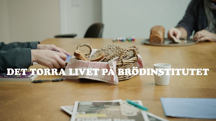 det torra livet bloggen2