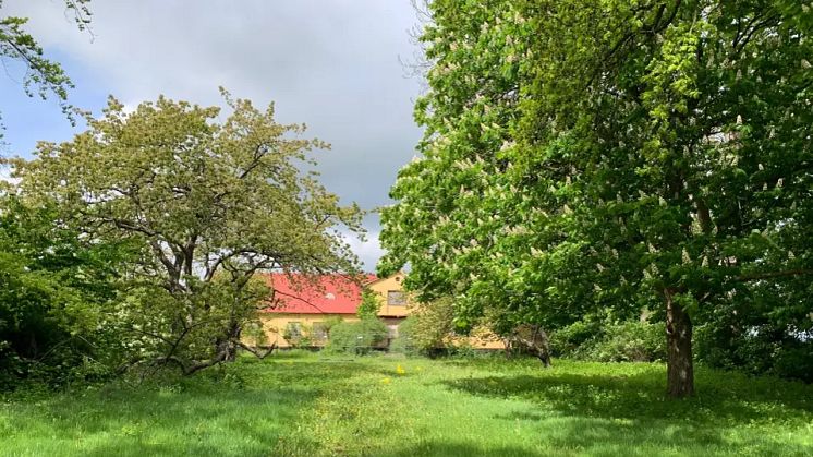 Klart vilka som ska utveckla Louisedals gård