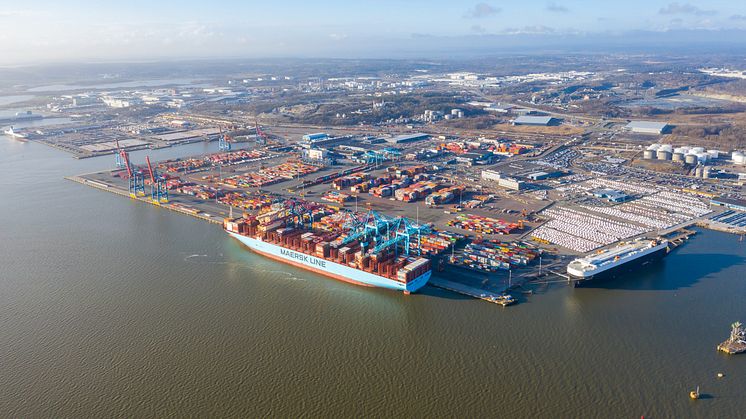 Lasting och lossning av Moscow Maersk i Göteborgs hamns containerterminal den 3 mars 2020. Bild: Göteborgs hamn AB.