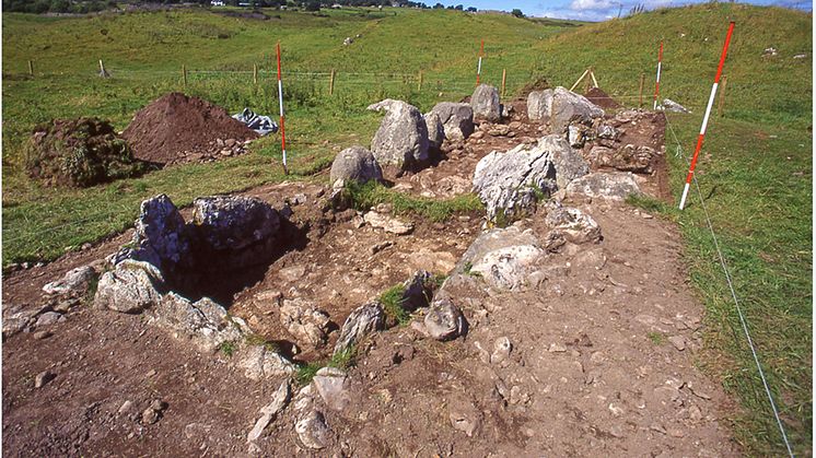 Primrose, Ireland, after excavation