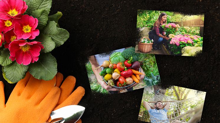 Mit den Gartentrends 2020 zaubert man sich ein Paradies aus dem eigenen Garten!