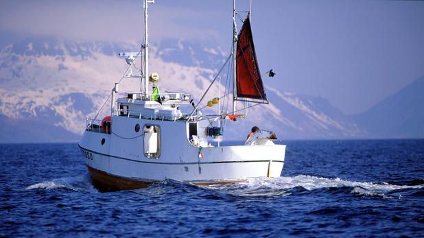 Norsk torsk och kolja får MSC-märkning