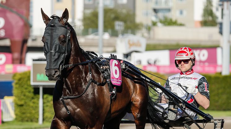 Gareth Boko kvalade in till Elitloppet 2021 via H.K.H Prins Daniels lopp på Gävletravet. Foto: TR Bild.