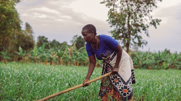 Aulelia Leonidas i Tanzania lever på landsbygden och livnär sig på jordbruk.