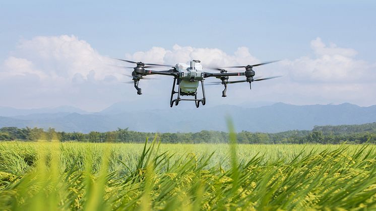 Neuer DJI Agriculture Drone Insight Report zeigt größere Akzeptanz, fortschrittliche landwirtschaftliche Techniken und Erforschung von bewährten Verfahren für Landwirte