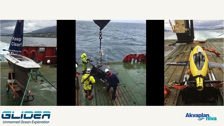 Surface and subsurface platforms in the GLIDER project, from right: (a) Seaglider® (Huntington Ingalls Industries; formerly Kongsberg Maritime); (b)Wave Glider SV3 (Liquid Robotics); and (c) Sailbuoy (Offshore Sensing)