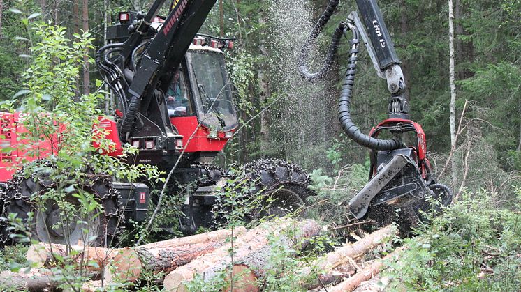 Aktivt skogsbruk gör störst klimatnytta