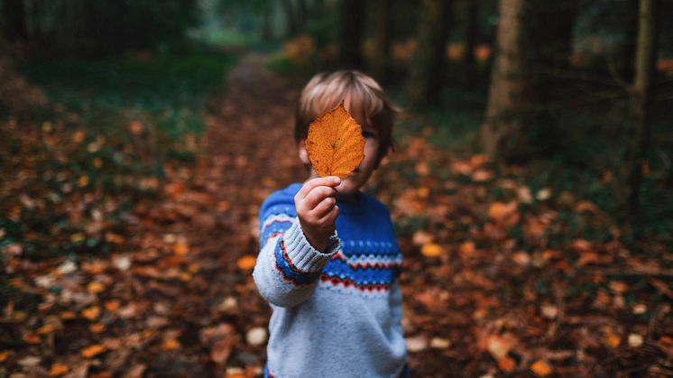 Foto: Annie Spratt/Unsplash